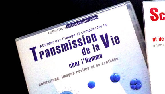 Transmission de la vie chez l'homme